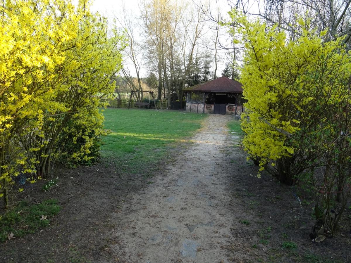 Ga Grudzianka Farm stay *