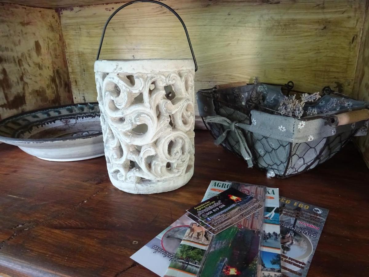 Ga Grudzianka Farm stay Lwowek