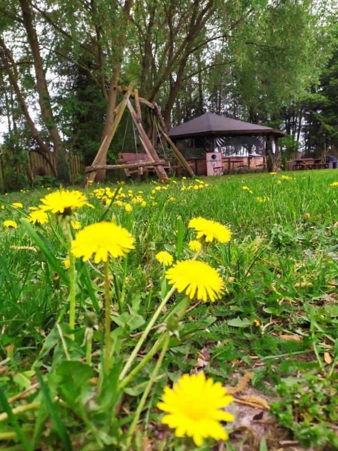 Ga Grudzianka Farm stay Lwowek
